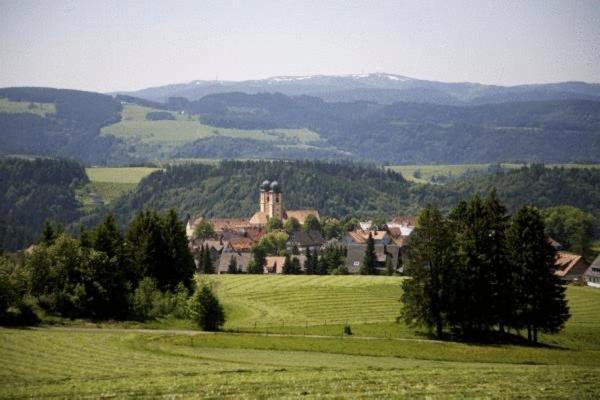 Gaestehaus Wald Und See Titisee-Neustadt Bagian luar foto