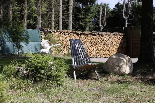 Gastehaus Wald Und See Titisee-Neustadt Bagian luar foto